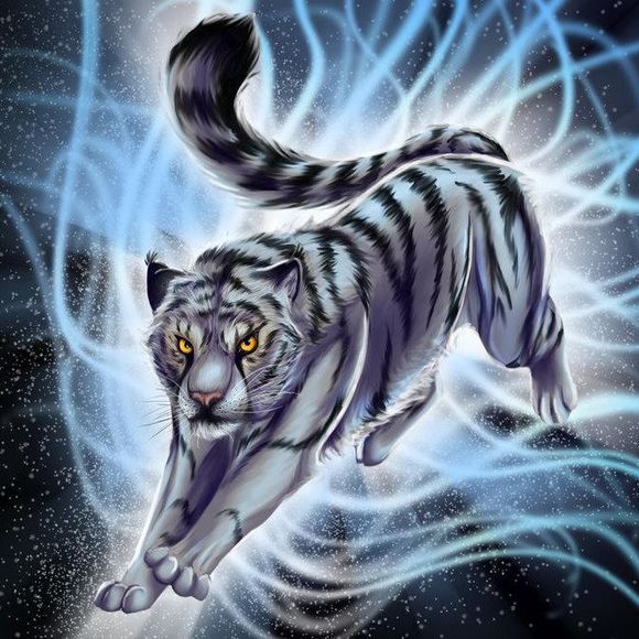 cat010